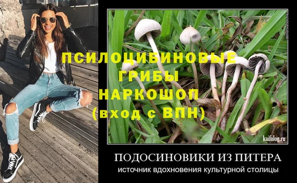 apvp Нея